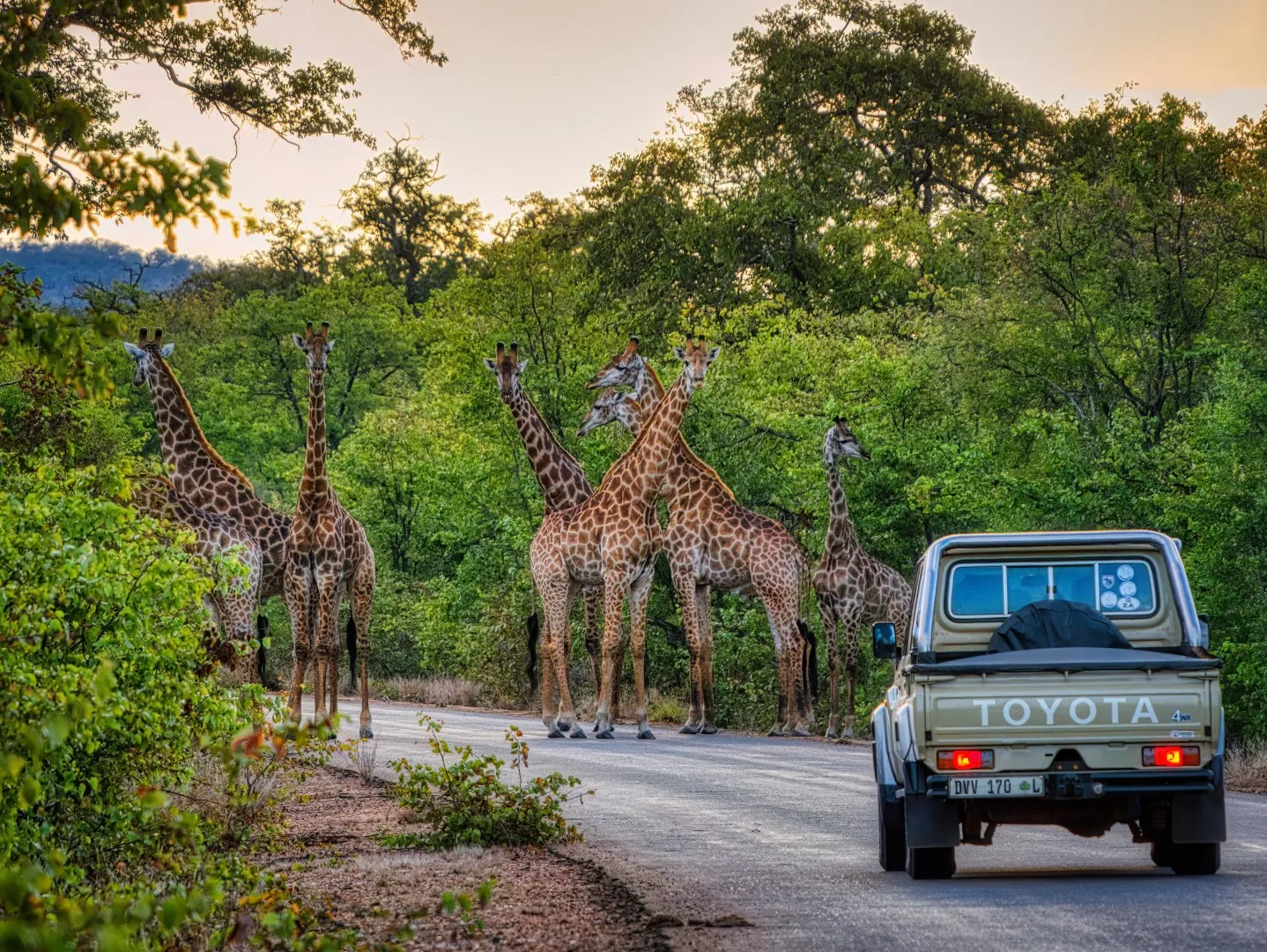 Return to Johannesburg and overnight